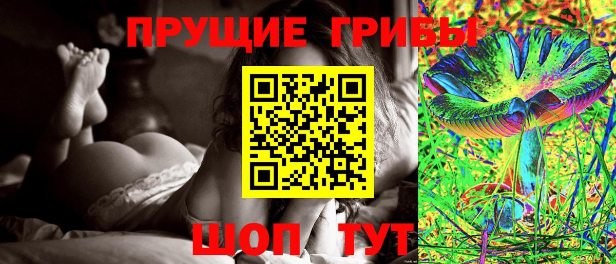 Галлюциногенные грибы Psilocybine cubensis Чайковский